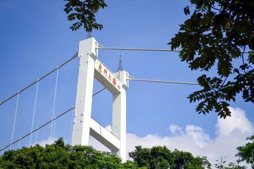 老虎门大桥爆料视频最新,最新爆料视频曝光惊人真相 第2张 老虎门大桥爆料视频最新,最新爆料视频曝光惊人真相 第2张