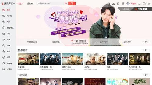 搜狐网络电视在线观看,畅享海量节目，轻松在线观看新体验  第3张